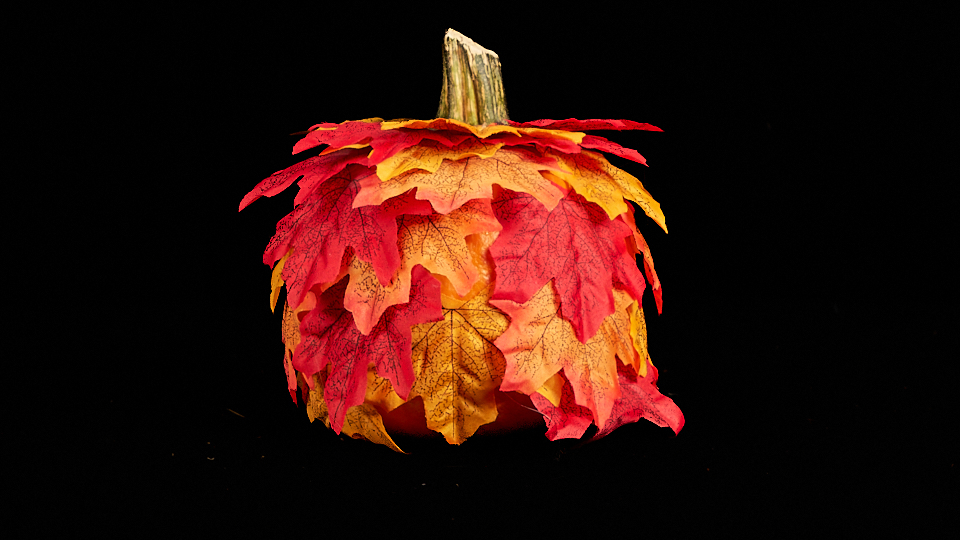 Fall foliage kin